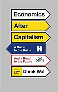 Economics After Capitalism : A Guide to the Ruins and a Road to the Future (Paperback)
