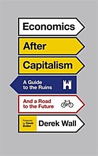 Economics After Capitalism : A Guide to the Ruins and a Road to the Future (Hardcover)