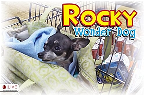 Rocky Wonder Dog (Paperback)