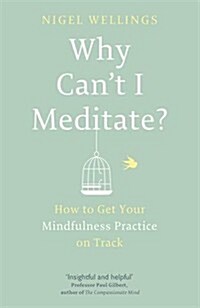 Why Cant I Meditate? : How to Get Your Mindfulness Practice on Track (Paperback)