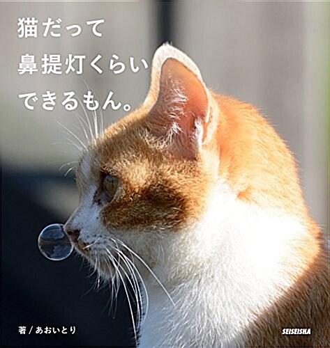 猫だって鼻提燈くらいできるもん。 (單行本(ソフトカバ-))