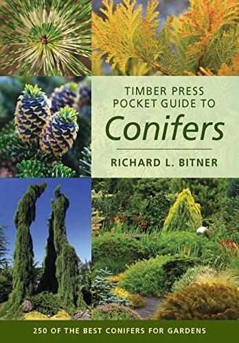 Timber Press Pocket Guide to Conifers (Paperback)