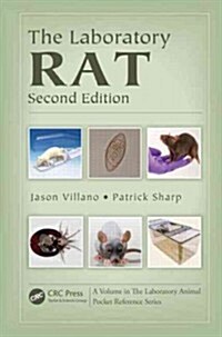 The Laboratory Rat (Paperback, 2)