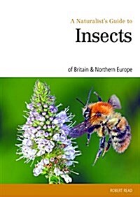 Naturalists Guide to the Insects of Britain & Northern Ireland (Paperback)