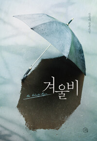 겨울비 =강선애 장편소설 /The winter rain 