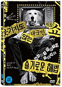 슬기로운 해법 표지이미지