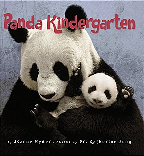 Panda Kindergarten (Paperback, Reprint)