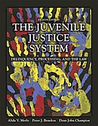 The Juvenile Justice System: Delinquency, Processing, and the Law (Paperback, 8, Revised)