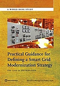 Practical Guidance for Defining a Smart Grid Modernization Strategy: The Case of Distribution (Paperback)