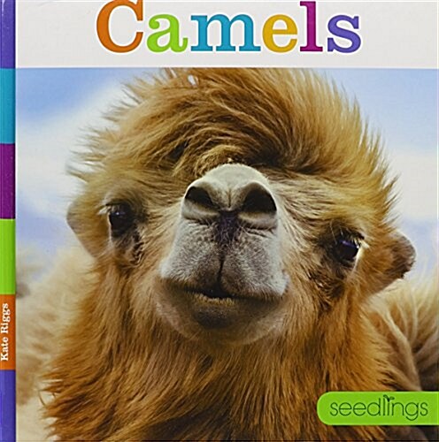 Seedlings Camels (Library Binding)