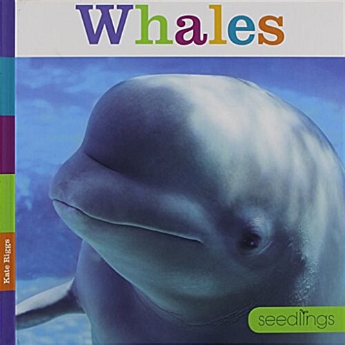 Seedlings Whales (Library Binding)