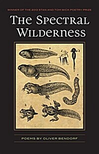 The Spectral Wilderness (Paperback)