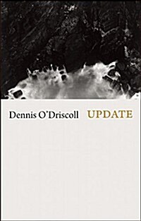 Update (Paperback)