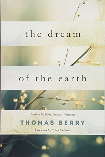 The Dream of the Earth (Paperback)