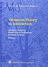 Valuation Theory in Interaction (Hardcover)