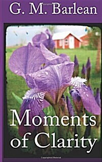 Moments of Clarity (Paperback)