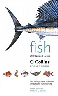 Fish of Britain & Europe (Paperback, POC)