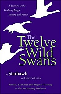 The Twelve Wild Swans: A Journey to the Realm of Magic, Healing, and Action (Hardcover, 1st)