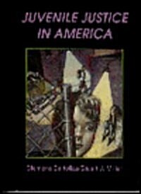 Juvenile Justice in America (Hardcover, 1St Edition)