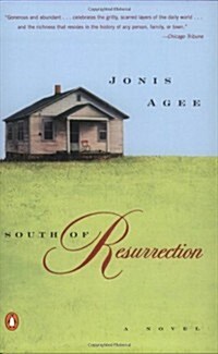South of Resurrection (Paperback)