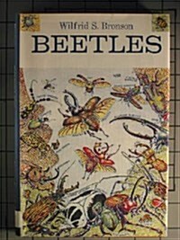 Beetles (Hardcover, First Edition)