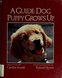 A Guide Dog Puppy Grows Up (Library Binding, 1st)