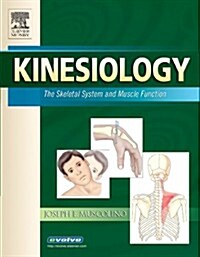 [중고] Kinesiology: The Skeletal System and Muscle Function (Paperback, 0)