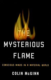 The Mysterious Flame: Conscious Minds In A Material World (Hardcover)