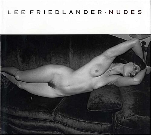 Nudes (Hardcover, 1st American ed)