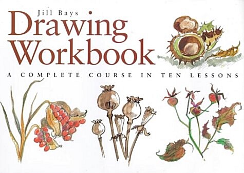 Drawing Workbook (Hardcover)