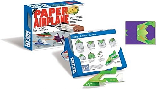 Paper Airplane: Fold & Fly It!: 2009 Day-to-Day Calendar (Calendar)