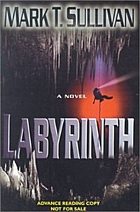 Labyrinth: A Novel (Hardcover, First Edition)