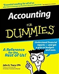 [중고] Accounting for Dummies (Serial) (Paperback, 0)