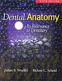 Dental Anatomy: Its Relevance to Dentistry (Paperback, 6th)