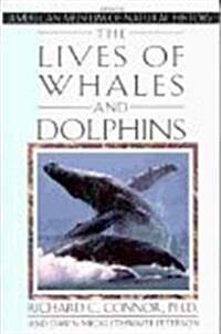 The Lives of Whales and Dolphins: From the American Museum of Natural History (Hardcover, 1st)