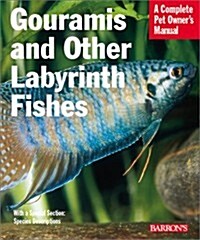 Gouramies and Other Labyrinth Fishes (Paperback)