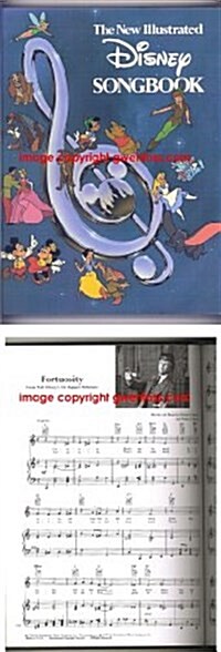 The New Illustrated Disney Songbook (Hardcover, 1ST)