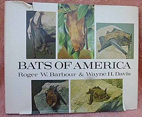 Bats of America (Hardcover, 0)