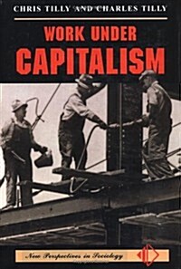 Work Under Capitalism (New Perspectives in Sociology) (Paperback)