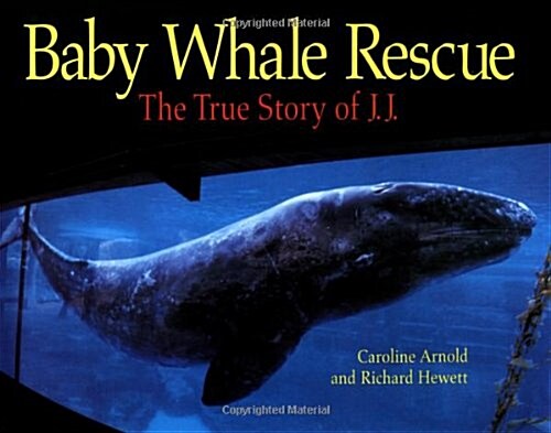 Baby Whale Rescue: The True Story of J.J. (Hardcover)