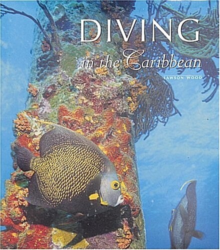 Diving in the Caribbean (Hardcover)