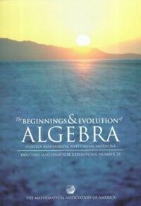 The beginnings and evolution of algebra