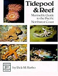 Tidepool and Reef (Paperback, UK)