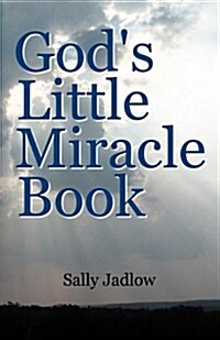 Gods Little Miracle Book (Paperback)