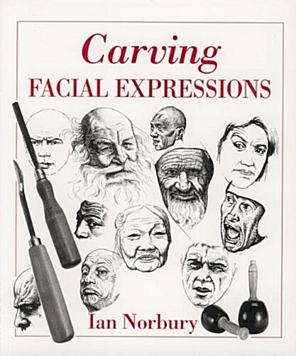Carving Facial Expressions (Paperback)