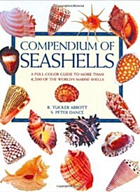 Compendium of Seashells (Hardcover)