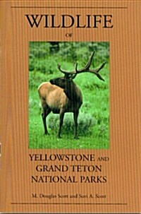 Wildlife of Yellowstone and Grand Teton National Parks (Paperback)