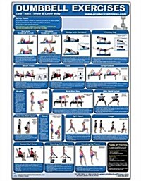 Dumbbell Exercises-Lower Body/Core/Chest & Back Laminated (Poster) (Poster)