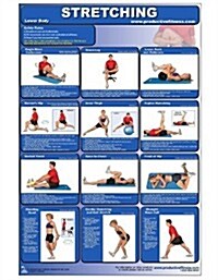 Stretching-Lower Body Laminated (Poster) (Poster)