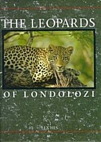 The Leopards of Londolozi (Hardcover)